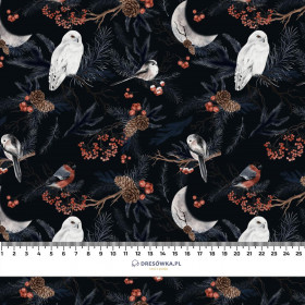 WINTER BIRDS pat. 2 (WINTER IN PARK) - looped knit fabric with elastane ITY