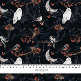 WINTER BIRDS pat. 2 (WINTER IN PARK) - Waterproof woven fabric