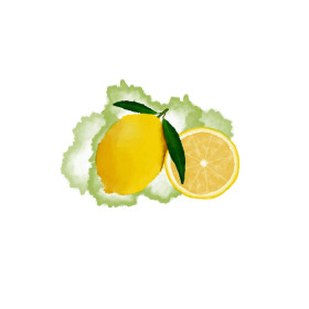 LEMON - panel (60cm x 50cm)