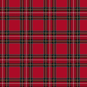 CHECK PAT. 12 / red