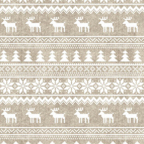 REINDEERS PAT. 2 / ACID WASH BEIGE - brushed knitwear with elastane ITY