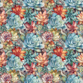 SUCCULENT PLANTS PAT. 7