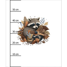 SLEEPING RACCOON - panel (60cm x 50cm) looped knit