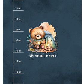 EXPLORE THE WORLD - panel (75cm x 80cm) SINGLE JERSEY ITY