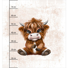 BABY BULL - panel (75cm x 80cm) brushed knitwear with elastane ITY