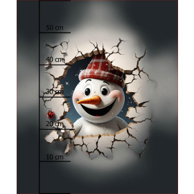 HAPPY SNOWMAN -  PANEL (60cm x 50cm) brushed knitwear with elastane ITY