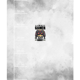 GAMER / white -  PANEL (60cm x 50cm) brushed knitwear with elastane ITY