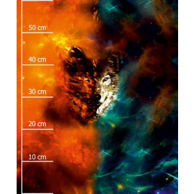 WOLF / galaxy -  PANEL (60cm x 50cm) SINGLE JERSEY ITY
