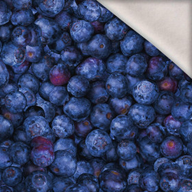 BLUEBERRIES - brushed knitwear with elastane ITY