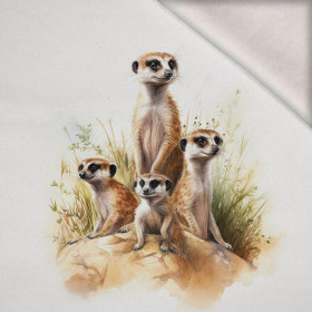 WATERCOLOR MEERKAT - panel (75cm x 80cm) brushed knitwear with elastane ITY