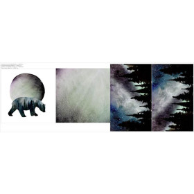 DECORATIVE PILOWS - THE NORTHERN LIGHTS (GALAXY)
