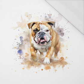 WATERCOLOR BULLDOG - PANEL (60cm x 50cm) SINGLE JERSEY