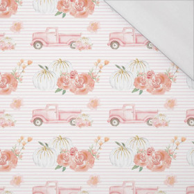 PUMPKINS ON THE PICKUP /  STRIPES (PUMPKIN GARDEN) - single jersey with elastane 