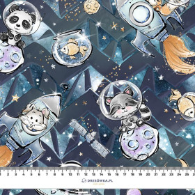 SPACE CUTIES pat. 7 (CUTIES IN THE SPACE) - looped knit fabric