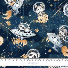 SPACE CUTIES pat. 9 (CUTIES IN THE SPACE) - looped knit fabric
