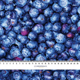 BLUEBERRIES- single jersey with elastane
