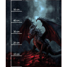 GOTHIC DRAGON -  PANEL (60cm x 50cm) brushed knitwear with elastane ITY