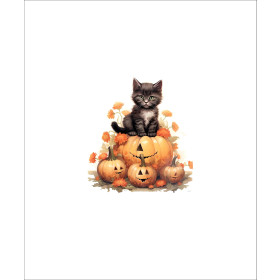 HALLOWEEN CAT - panel (60cm x 50cm)