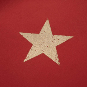 GOLDEN STARS / RED - softshell