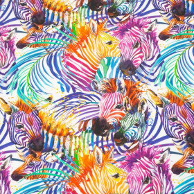 ZEBRA (rainbow) / white - looped knit fabric