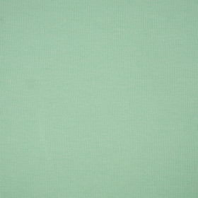 D-696 MINT - t-shirt with elastan TE210