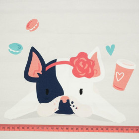 Dog with headband (J'adore Paris) / peach - panel looped knit 