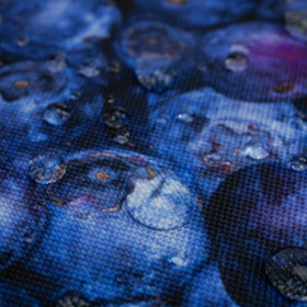 BLUEBERRIES - Waterproof woven fabric