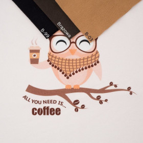 OWL WITH COFFEE / beige - panel looped knit 