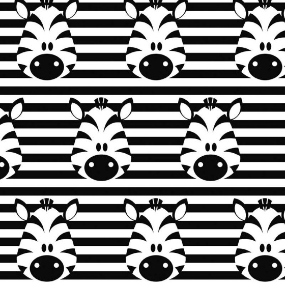 ZEBRAS / white 