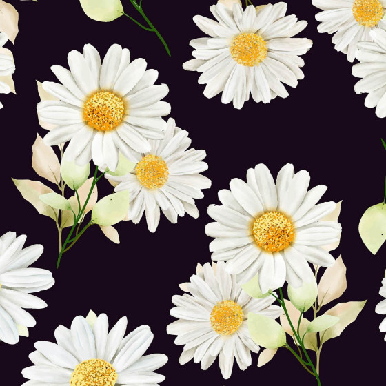 DAISIES PAT. 3 / black - softshell