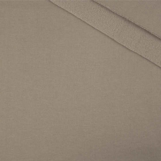 Thick brushed sweatshirt D300 - GREIGE (D-113)