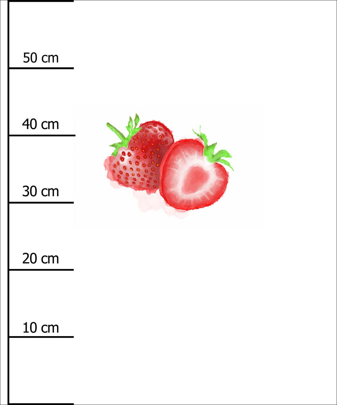 ERDBEERE - Paneel (60cm x 50cm) SINGLE JERSEY 