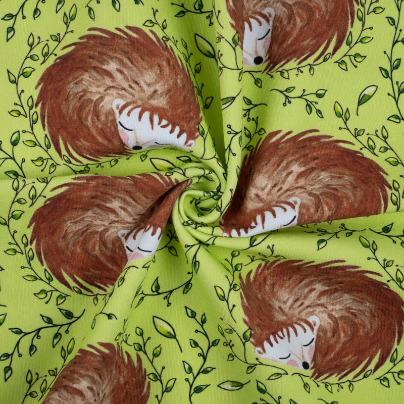 50cm SCHLAFENDE IGEL (SCHLAFENDE TIERE) / grün - Bio-sommersweat