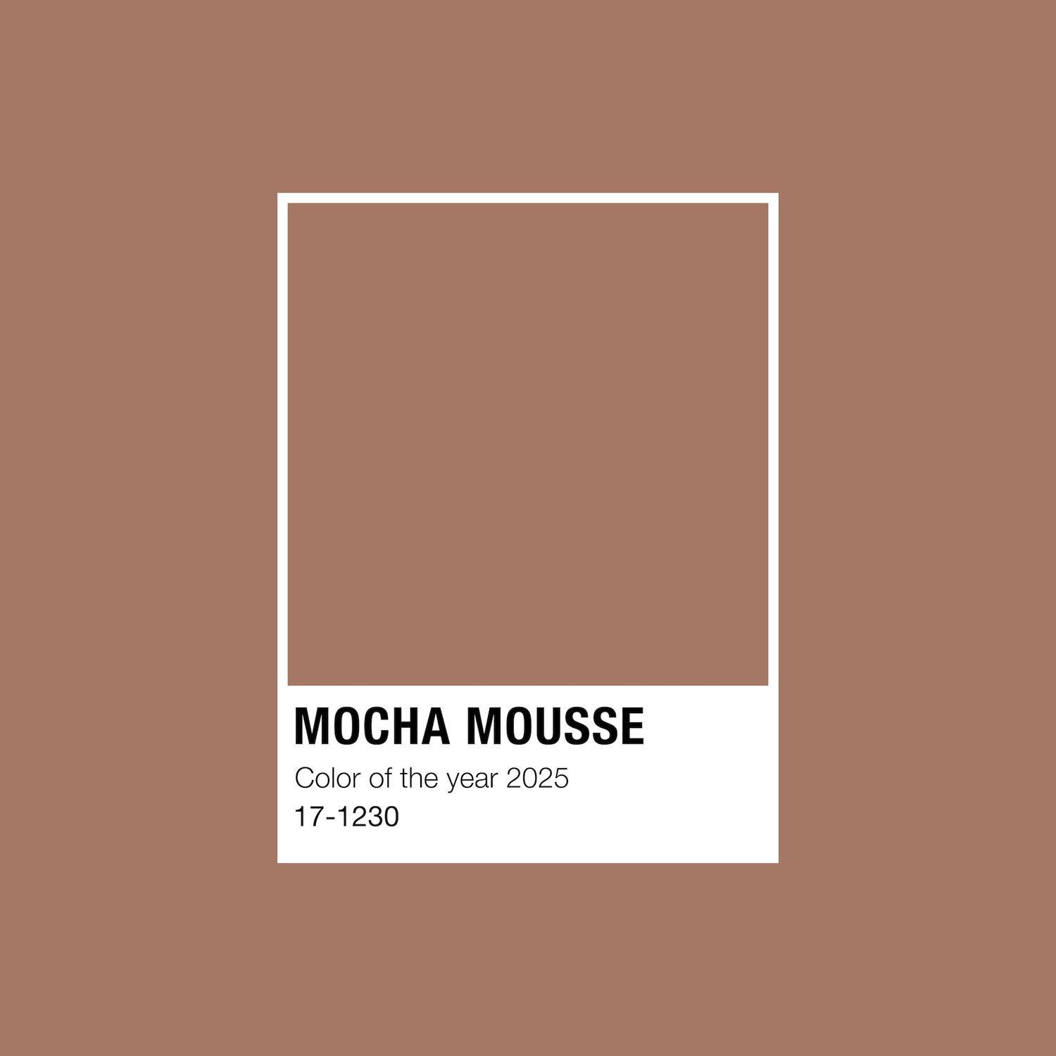 ACID WASH Mocha Mousse - Sommersweat