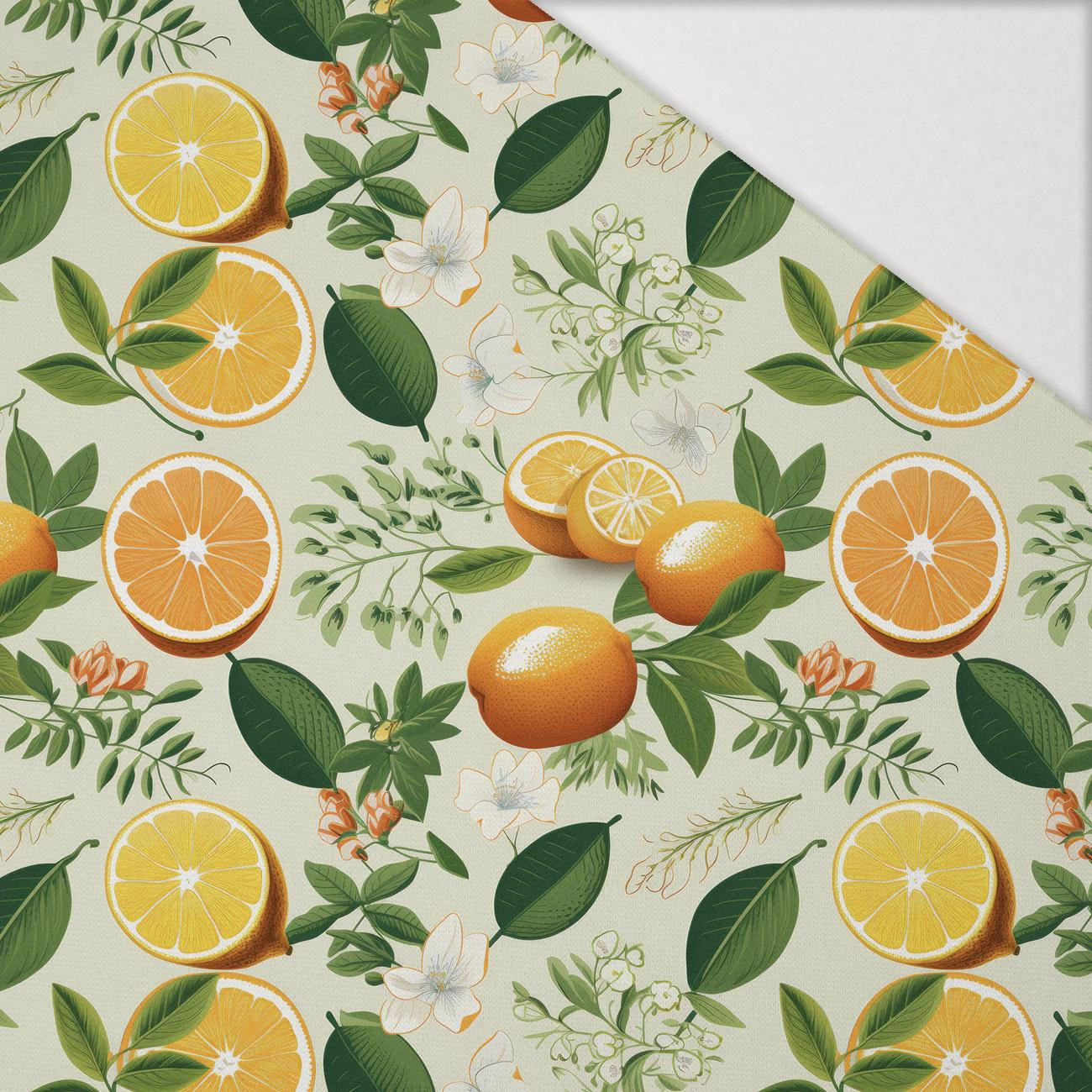 Tutti Frutti wz. 2 - Hydrophober angerauter Wintersweat