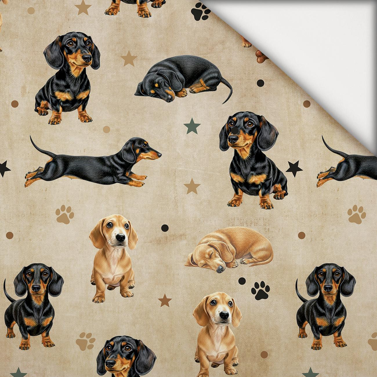 DOGS M. 2 - leichte Maschenware angeraut