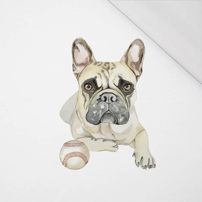 BULLDOG / beige - SINGLE JERSEY PANEL 50cm x 60cm