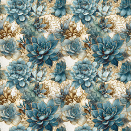 SUCCULENT PLANTS MS. 1