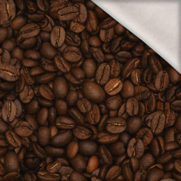 KAFFEEBOHNEN - Wintersweat angeraut mit Elastan ITY