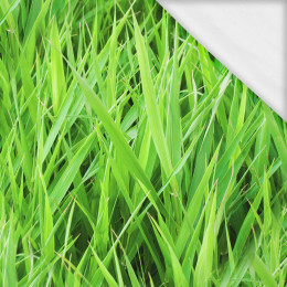 GRÜNES GRAS- Single Jersey mit Elastan ITY
