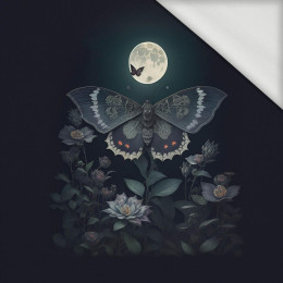 NIGHT BUTTERFLY - Panel (75cm x 80cm) Sommersweat