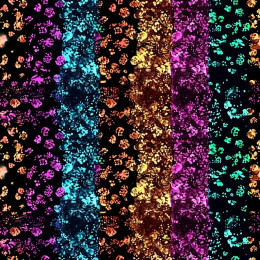 HOLOGRAPHIC RAINBOW wz. 6