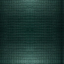 Leather Pattern wz.1 