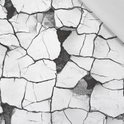 ANIMALS CRACKED wz.2 - Baumwoll Webware