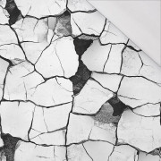 ANIMALS CRACKED wz.2 - Viskose Jersey