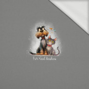 ANIMALS CUTE wz.14 - panel (60cm x 50cm) Sommersweat