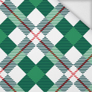 KARO GRÜN - ROT / weiß -  Sommersweat