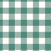 VICHY GITTER GRÜN / weiß - Baumwoll Webware