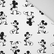 MOUSE M. 1 - Panama 220g