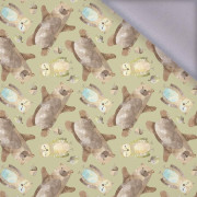 BÄRCHEN UND EULCHEN (WALDTIERE) - Softshell 